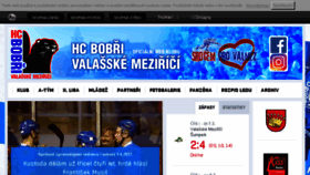 What Hcvm.cz website looked like in 2017 (7 years ago)