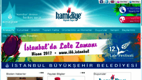 What Hamidiye.com.tr website looked like in 2017 (7 years ago)