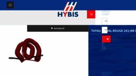 What Hybis.com website looked like in 2017 (7 years ago)