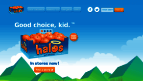 What Halosfun.com website looked like in 2017 (7 years ago)