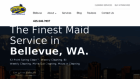 What Housecleaningbellevue.com website looked like in 2017 (6 years ago)