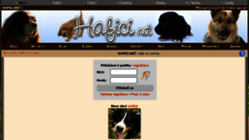 What Hafici.net website looked like in 2017 (6 years ago)