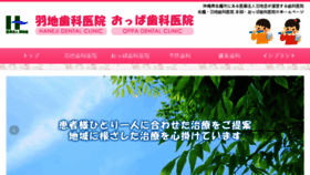 What Haneji-oppa.com website looked like in 2017 (6 years ago)