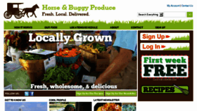 What Horseandbuggyproduce.com website looked like in 2017 (6 years ago)