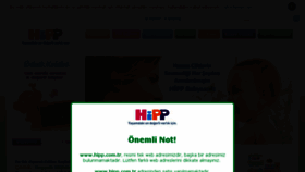 What Hipp.com.tr website looked like in 2017 (6 years ago)
