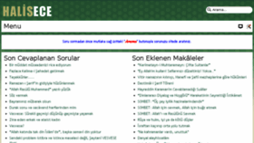 What Halisece.com website looked like in 2017 (6 years ago)