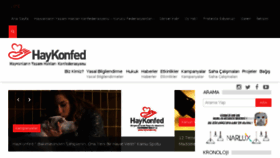What Haykonfed.org website looked like in 2017 (6 years ago)