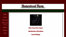 What Homestead-farm.net website looked like in 2017 (6 years ago)