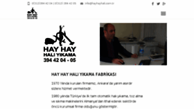 What Hayhayhali.com.tr website looked like in 2017 (6 years ago)