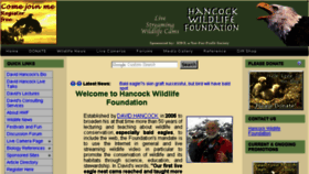 What Hancockwildlifechannel.org website looked like in 2017 (6 years ago)