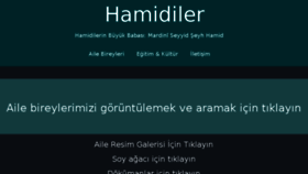 What Hamidiler.com website looked like in 2017 (6 years ago)