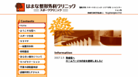What Hamana-seikei.com website looked like in 2017 (6 years ago)