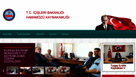 What Hamamozu.gov.tr website looked like in 2017 (6 years ago)