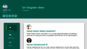 What Hasan.im website looked like in 2017 (6 years ago)