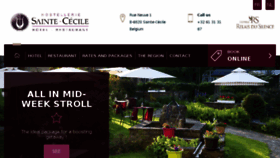 What Hotel-ste-cecile.be website looked like in 2017 (6 years ago)