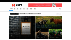 What Holapet.co.kr website looked like in 2017 (7 years ago)