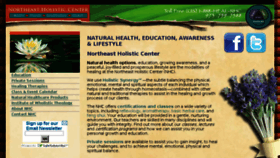 What Healnhc.org website looked like in 2017 (6 years ago)