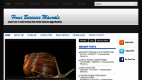 What Homebusinessmanuals.com website looked like in 2017 (6 years ago)