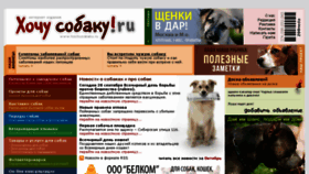 What Hochusobaku.ru website looked like in 2017 (6 years ago)