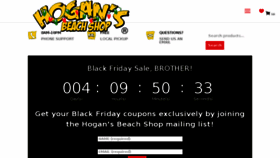 What Hogansbeachshop.com website looked like in 2017 (6 years ago)