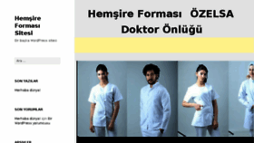 What Hemsireformasisitesi.com website looked like in 2017 (6 years ago)