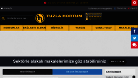 What Hortum.com.tr website looked like in 2017 (6 years ago)