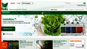 What Haifachem.com website looked like in 2018 (6 years ago)