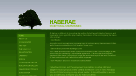 What Haberae.com website looked like in 2018 (6 years ago)
