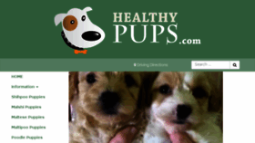 What Healthypups.com website looked like in 2018 (6 years ago)