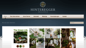 What Hinteregger.biz website looked like in 2018 (6 years ago)