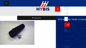 What Hybis.com website looked like in 2018 (6 years ago)
