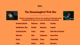What Hummingbirdworld.com website looked like in 2018 (5 years ago)