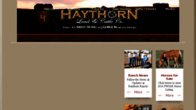 What Haythorn.com website looked like in 2018 (5 years ago)
