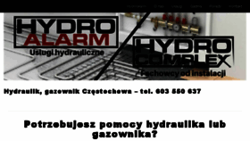 What Hydroalarm.pl website looked like in 2018 (5 years ago)