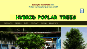 What Hybridpoplars.com website looked like in 2018 (5 years ago)