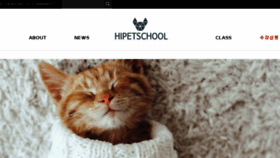 What Hipetschool.com website looked like in 2018 (5 years ago)