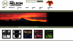 What Hansnelson.com website looked like in 2018 (5 years ago)