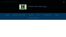 What Heibelderm.com website looked like in 2018 (5 years ago)