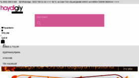 What Haydigiy.com website looked like in 2018 (7 years ago)