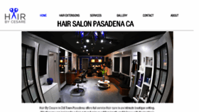 What Hairbycesare.com website looked like in 2018 (5 years ago)