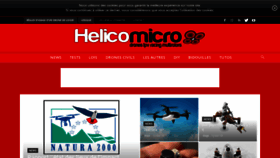 What Helicomicro.com website looked like in 2018 (5 years ago)