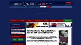 What Horsequest.com website looked like in 2018 (5 years ago)