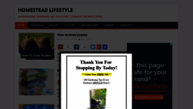What Homesteadlifestyle.com website looked like in 2018 (5 years ago)