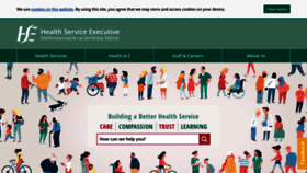 What Hse.ie website looked like in 2019 (5 years ago)
