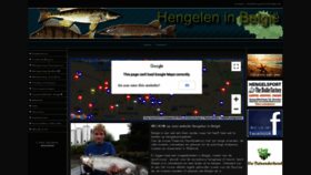 What Hengeleninbelgie.be website looked like in 2019 (5 years ago)
