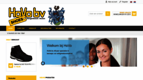 What Hovo.nl website looked like in 2019 (5 years ago)