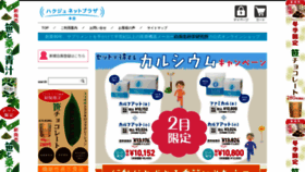 What Hakuju.net website looked like in 2019 (5 years ago)