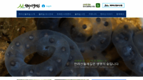 What Hallatrail.or.kr website looked like in 2019 (5 years ago)
