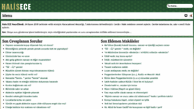What Halisece.com website looked like in 2019 (4 years ago)