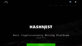What Hashnest.com website looked like in 2019 (4 years ago)